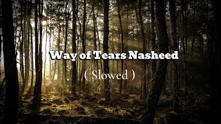 way of tears Nasheed slowed by Muhammad Al Muqit [upl. by Ellehcan660]