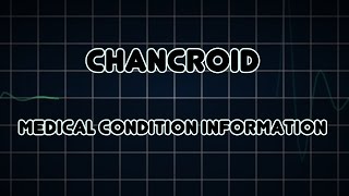 Chancroid Medical Condition [upl. by Ahsienom]