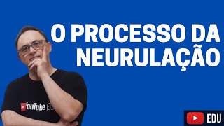 O PROCESSO DE NEURULAÇÃO [upl. by Nesto188]