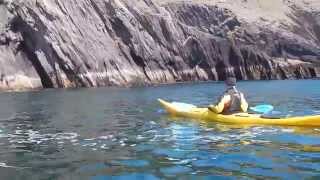 Kayaking with Basking Shark Slea Head Dingle Irish Adventures [upl. by Emad161]