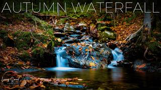 4K Autumn Waterfall  Soothe Your Soul amp Relax Your Mind for 3 Hours [upl. by Aspia]