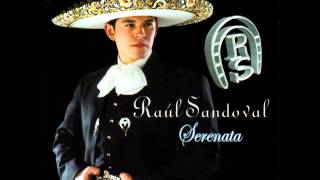 Serenata  Raul Sandoval con letra [upl. by Esadnac557]