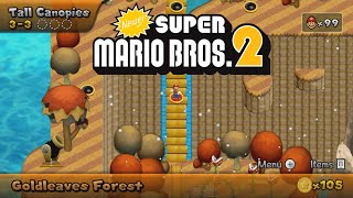 Newer Super Mario Bros2 19 Walkthrough 100 [upl. by Gotthard]