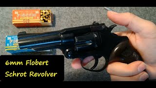 Scharfer 6mm Flobert Mayer amp Söhne Mod 20 Revolver [upl. by Akila682]