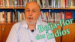 História indígena do Brasil  Kaka Werá Jecupé [upl. by Mukund268]