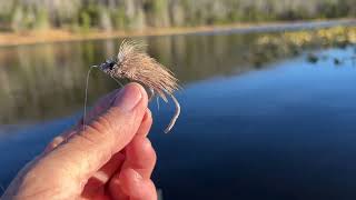 Visiting Bridger Lake high Uintas Utah [upl. by Hepsiba]