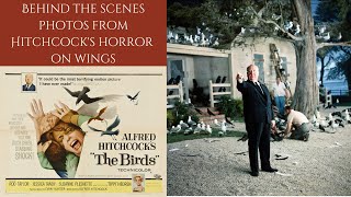 THE BIRDS 1963  Behind The Scenes Photos Alfred Hitchcocks Classic Of Flying Terror [upl. by Kynthia]