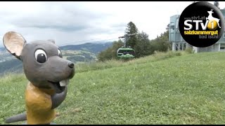 Sommertagung der besten Österreichischen SommerBergbahnen im Salzkammergut wwwstv1at [upl. by Audres]