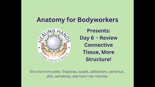 Day 6 of Online Anatomy for Bodyworkers [upl. by Dobb889]