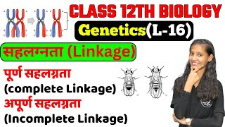 Linkage and Recombination सहलग्नता एवं पुनर्योजन Types of Linkage पूर्ण सहलग्नता अपूर्ण सहलग्नता। [upl. by Elfstan441]