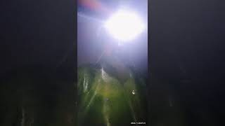 De Indo Greenkeeper glijdt van de bruggetje af valt in water hoofdlamp en telefoon ook [upl. by Yentihw]