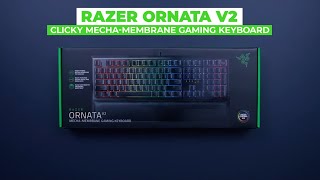 Razer Unboxing  Razer Ornata V2 amp Cynosa V2 [upl. by Eirrol353]