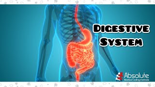 Digestive System and More CPT Medical Coding for the CPC and CCS Exams  Rereleased [upl. by Milli]