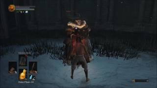 Dark Souls 3 PVE Parrying  Cathedral Evangelist [upl. by Ellenaj]