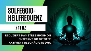 Harmonisierende Frequenz für Zellschutz und Herzöffnung [upl. by Alilahk288]