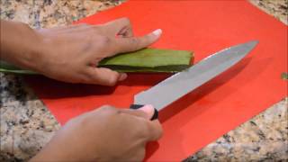 How to Cut an Aloe Vera Leaf and Make Aloe Gel [upl. by Linzer]