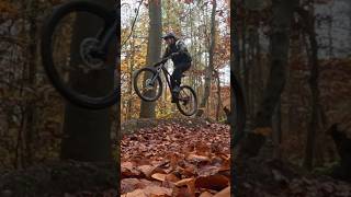 mtb und Herbst impressionenCanyon Stoicmountainbike dronefootage mtblife [upl. by Anoi]