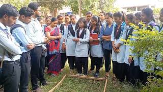 Plant Population density and frequency by quadrat Method  Bsc 3rd year  Practical demonstration [upl. by Robina]