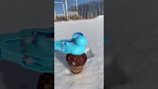 Do make a cute snow with real ice cream and duck toys [upl. by Aya]