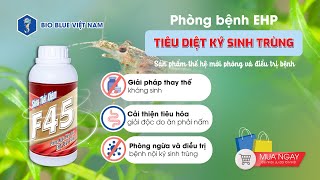 Diệt ký sinh trùng trên tôm  Giải pháp thay thế kháng sinh [upl. by Cherida]