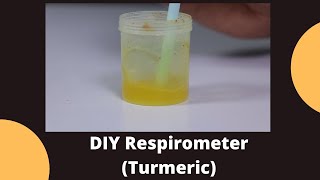 DIY Respirometer Turmeric  Class 10 Science Lab Experiment [upl. by Nalyr259]