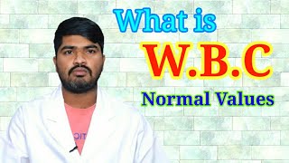 What is WBC TestampNormal ValuesWhite Blood Cells [upl. by Garneau]