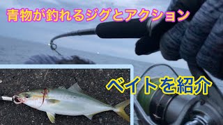 三重県津サーフで青物が釣れています。釣り方や使ったジグ、ベイトも紹介するよ [upl. by Aleron831]