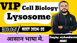 lysosome  Cell  Cell Biology  Cell Biology Class 11 [upl. by Siwel]