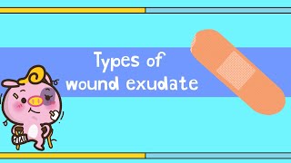 Types of wound exudate [upl. by Daeriam]