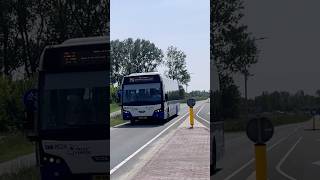 Bus met een witte kop [upl. by Rellim88]