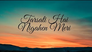 Tarasti hain nigaahein meri Song  Lyrics galat fehmi  Asim Azhar Song [upl. by Ennahs]