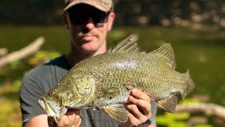 Fishing Creeks amp Billabongs For Land Based Barra [upl. by Mannuela]