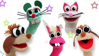 How to make Animal sock puppets  Ana  DIY Crafts [upl. by Trebreh351]