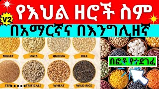 የእህል ዘሮች ስም ከፎቶ ጋር  Names of grains Oil seeds and pulses in English and Amharic with pictures [upl. by Nader]