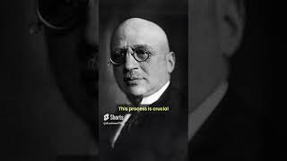 Fritz Haber The Chemist Who Changed Agriculture and Warfare science [upl. by Reilly]