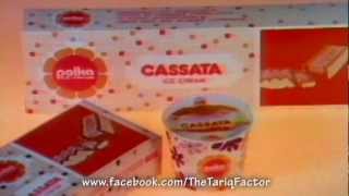 Polka Cassata Ice Cream 1988  Tariq’s PTV Classics shireenvoices [upl. by Ednargel265]