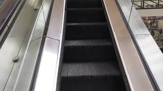 ORIGINAL 1983 Westinghouse SingleFile Escalators at Deerbrook Mall over by Former Sears Humble TX [upl. by Elmajian]