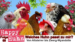 E69 Welches Huhn passt zu mir Rassewahl  HAPPY HUHN  50 Hühnerrassen im Vergleich Hühner Auswahl [upl. by Irac]