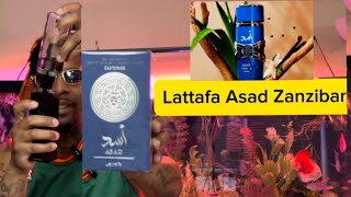 “Lattafa Asad Zanzibar”New fragrance reviewIs this fragrance worth the hype [upl. by Yllas264]