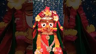 Jagannath darshan 🙏🙏🙏🙏ytshort yatra jagannathbhajan jagannath odiya RadhaKrishnaParivarw5m [upl. by Sethi566]