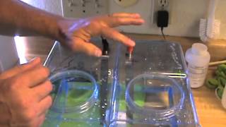 MAKE DISTILLED WATER ALKALINE  WITHOUT ELECTROLYTE  IN 15 MIN  PART 1 [upl. by Leitnahs]