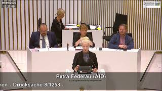 Petra Federau zur Reduzierung der Netzentgelte [upl. by Atirihs]