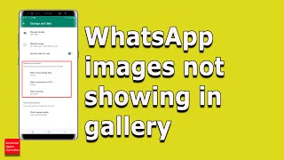 WhatsApp images not showing in gallery of android device  How to Fix it [upl. by Gapin]