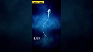 Baby Conceive Tips baby pregnancy conceive viralshort pregnant [upl. by Nola140]