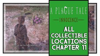 A Plague Tale Innocence All Collectible Locations Chapter 11 [upl. by Nnael]