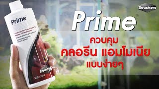 รีวิว Seachem Prime น้ำยาลดคลอรีนและแอมโมเนียที่ดีที่สุดในโลก ใช้ง่าย ได้ผลเยี่ยม [upl. by Hecker]