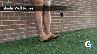 Tibialis Wall Raises Exercise Demo [upl. by Lamee]