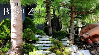 Zooming Through Life and Death The Bonsai Zone June 2020 [upl. by Siloum]