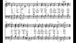 Sommarpsalm W Åhlén Score Animation [upl. by Howes]