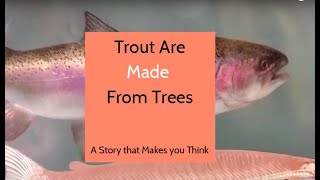 Trout are Made of Trees [upl. by Naillig]